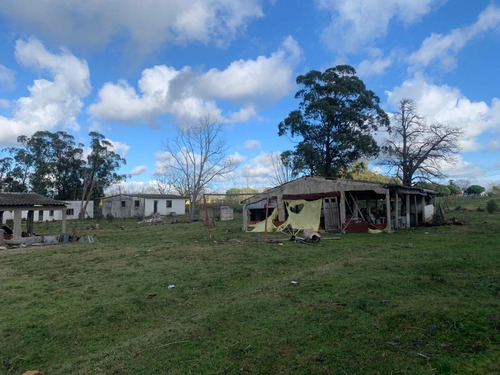 Gran Oportunidad, Chacra Tala, Canelones 200 Mts De La Ruta 7