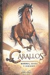 Libro Caballos - 