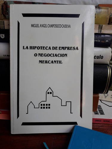 La Hipoteca De Empresa O Negociación Mercantil