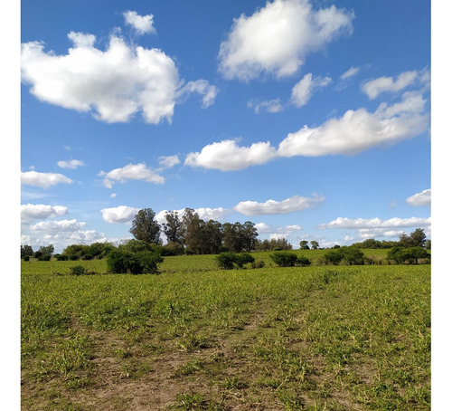 Vendo Muy Lindo Campo Sobre Ruta 33 Casa Todo Alambrado En 4 Potreros, Aguadas