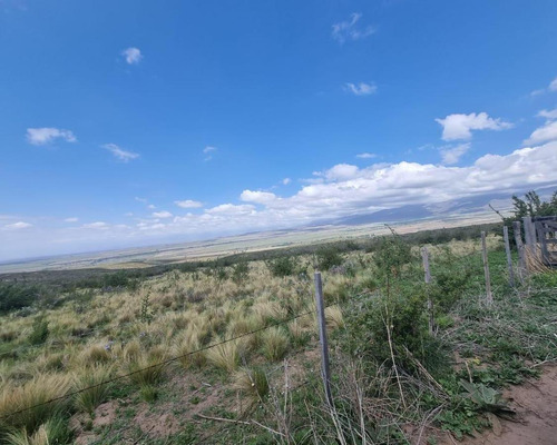 Terreno En Venta La Carrera - San José - Tupungato - Mza