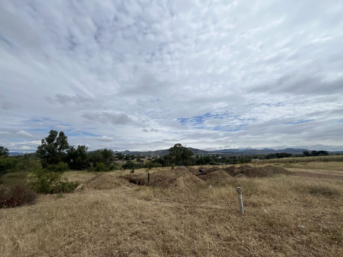 Terreno En Venta En La Trinidad, Guanajuato Tranquilidad Campestre Y Cercanía