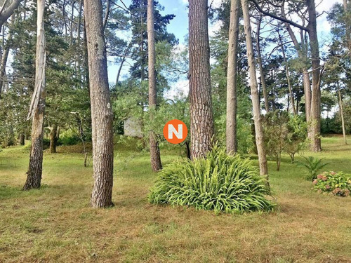 Imagen 2 de 12 de Venta De Terreno En Cantegril Punta Del Este - Punta Del Este Cantegril
