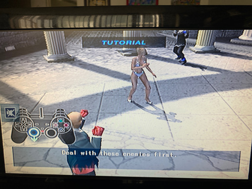Tekken Nina Williams In Death By Degrees Ps2 (Usado)