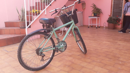 Bicicleta Verde Rodado 20 Con Canasto