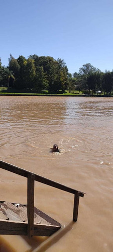 Imagen 17 de 19 de Alquiler Cabaña Alegría Delta Tigre Río Capitán