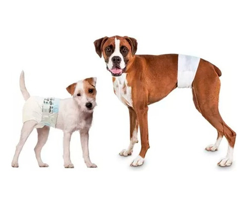 12 Pañales Desechables De Papel Para Perros Y Gatos Talla M