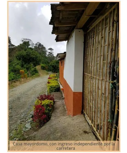 Vendo Finca De 18 Cuadras Para Ganado Y Cerdos A 15 Minutos D Fredonia