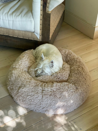 Imagen 6 de 8 de Cama Puf Dormilón Anti Estrés Perros/gatos Chapelco