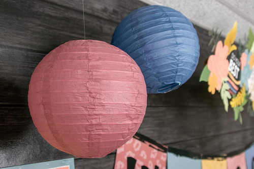 Linternas De Papel Colgantes Wonderfully Wild De 8 Pulgadas