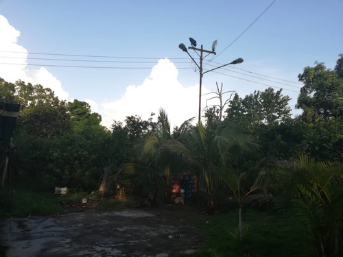 Imagen 4 de 7 de Se Vende Finca Paraiso San Luis Edo. Monagas Ve02-1028sluis-cmass