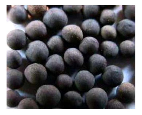 Semillas De Vicia Visiosa 1 Kg