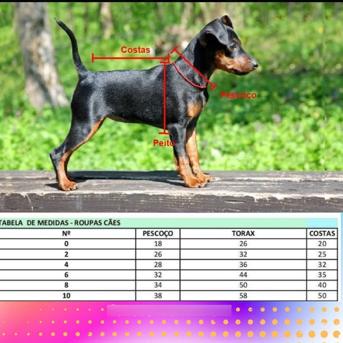 Roupa Pet - Colete Cetim Tam 4 - Roupinha Cachorro