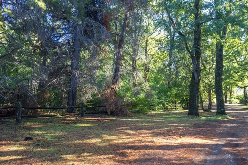 En Venta 1hectárea En Quila Quina Lago Lácar San Martín De Los Andes