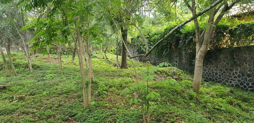 Divino Terreno En Fracc. Limoneros, Cuernavaca