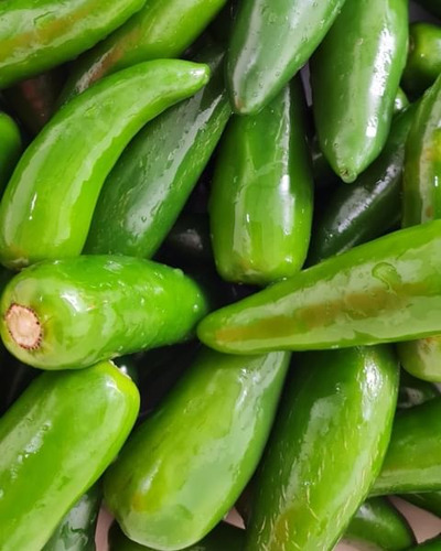 Pimenta Jalapeño Inteira Conserva Mista 350g
