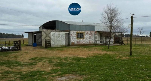 Imagen 9 de 12 de Campo | Las Flores