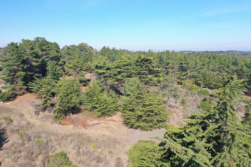 Desarrollo Inmobiliario Frente Al Mar En Punta De Lobos