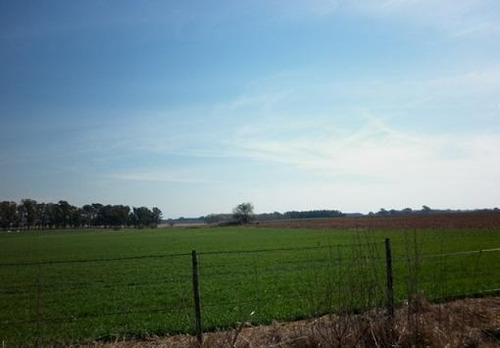 Imagen 6 de 8 de Campo En Venta En Capitán Sarmiento