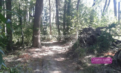 Lote De 4.380 M2 Con Costa De Rio Bonito - V. Angostura