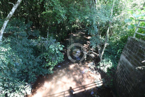 Imagem 13 de 15 de Área De Terra À Venda Em Picada Schneider 30000 M²- Presidente Lucena/rs - Ar0014