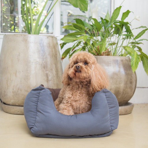 Imagen 2 de 7 de Cama Para Perro Modelo Rio Chica