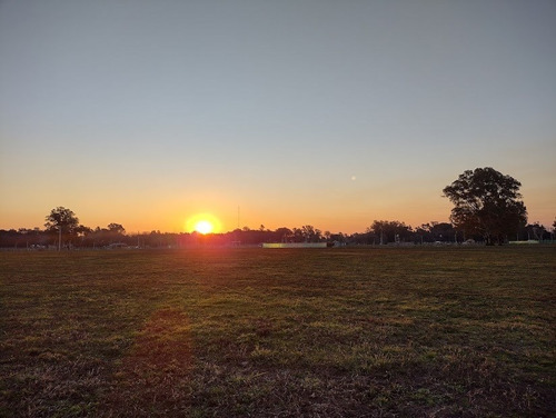 Terreno Lote  En Venta En Parada Robles, Exaltación De La Cruz, G.b.a. Zona Norte