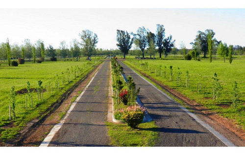 Imagen 5 de 7 de Hermoso Lote En Pinares Del Sur, Barrio Privado