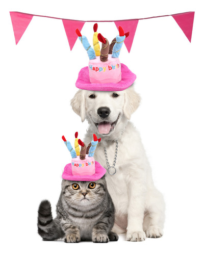 Gorro De Cumpleaños Para Mascotas, Tela, Ajustable, Juguete
