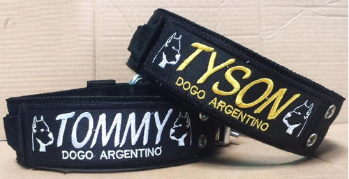 Collar Personalizado Dogo Argentino 6cm 