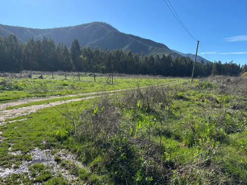 Venta De Terrenos  Sector Los Rulos