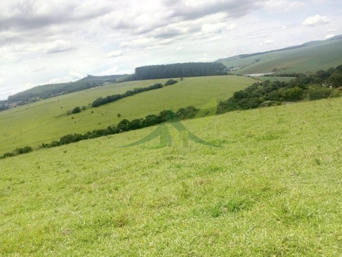 Imagem 11 de 11 de Fazenda Em Bragança Paulista 23 Alqueires R$6 Milhões - 826