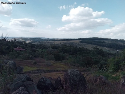 Imagem 6 de 30 de Terreno - A Venda - Valinhos - Te00313 - 69815166