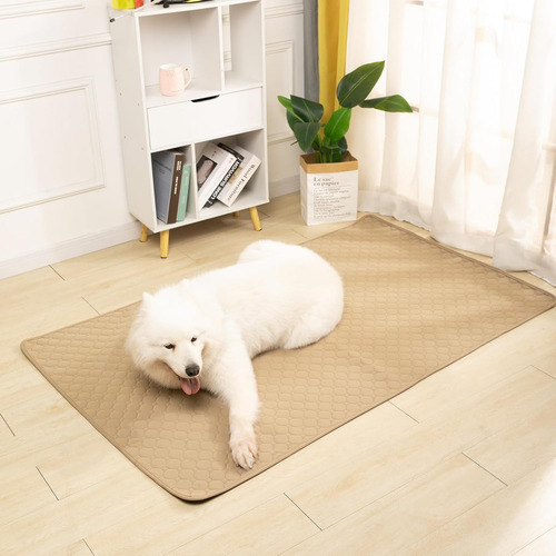 Dos Almohadillas Lavables Para Perros Absorbentes De Agua