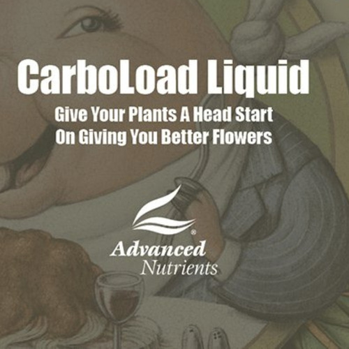 Carboload 250ml Advanced Nutrients