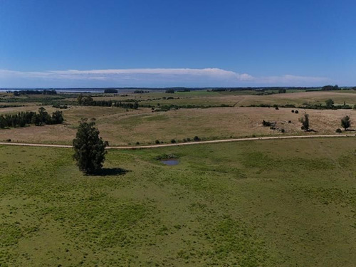 Quinta En Venta  En Rincón De Jose Ignacio (ref: Atm-1236)