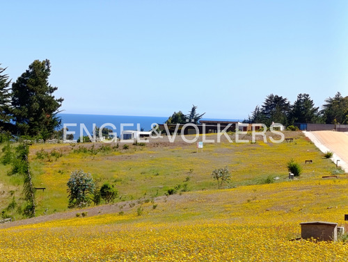 Excelente Terreno En Punta De Lobos