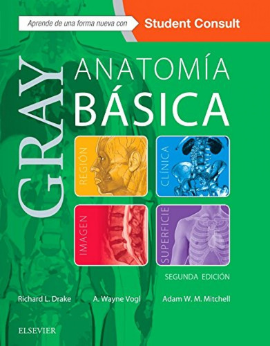 Anatomía Básica