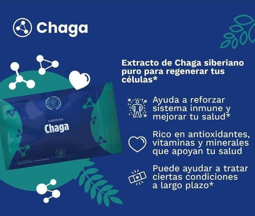 Chaga Hongo Obliquus (original Tlc)