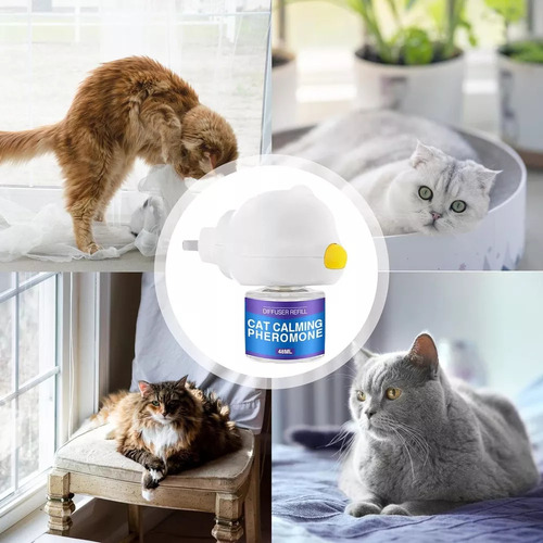 A+ Difusor Calmante Para Gatos, Difusor De Feromônios Para