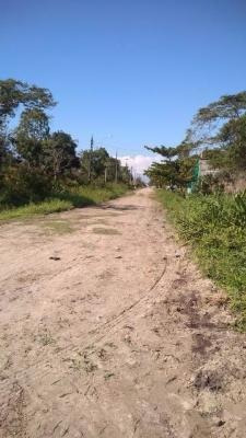 Imagem 4 de 4 de Terreno No Litoral Com 275 M² Em Rua De Terra, Em Itanhaém