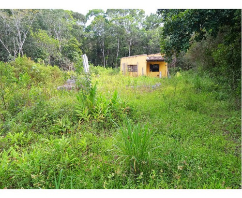 Imagem 6 de 14 de Chácara Terreno Plano Medindo 2522 Mts Itanhaém Litoral Sul
