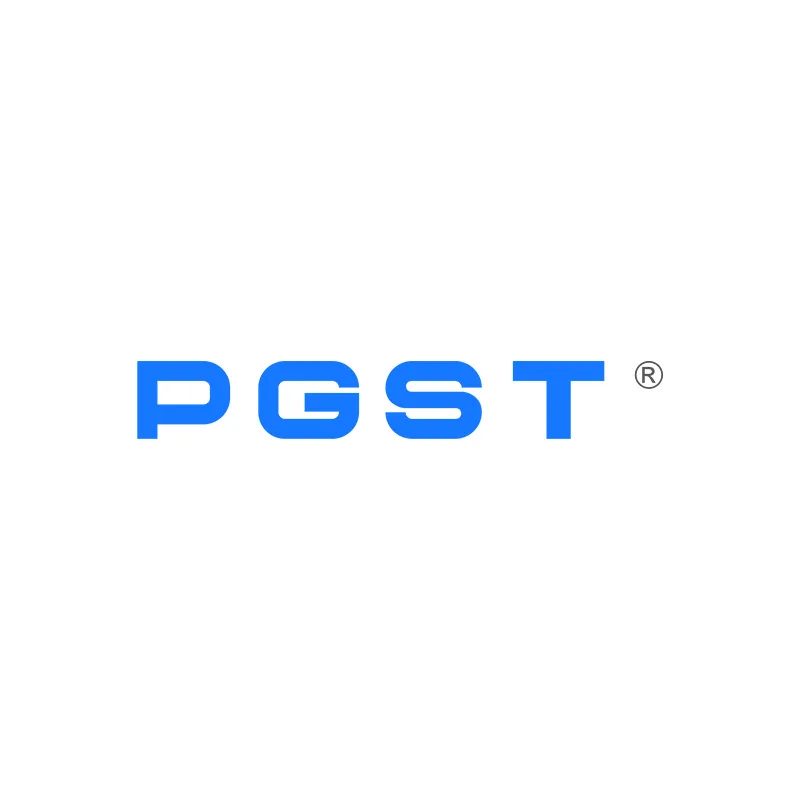 PGST Security System