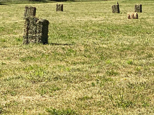 Fardos De Alfalfa