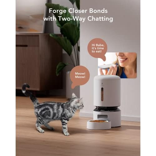 Dispensador Automático De Comida Gatos Cámara, Video ...