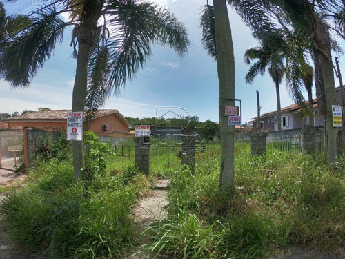 Terreno - Jardim Angelica - Ref: 29106 - V-29104