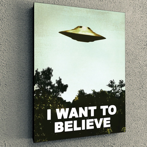 Cuadro Geek I Want To Believe