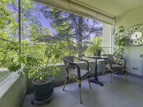 Moderno: Jardín Del Este