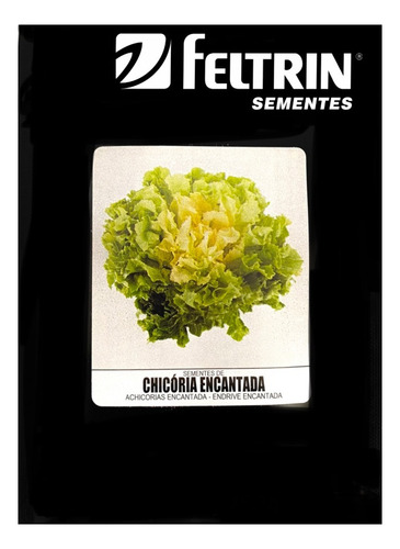 Chicória Encantada/ Chocória Verde - 1.000 Sementes