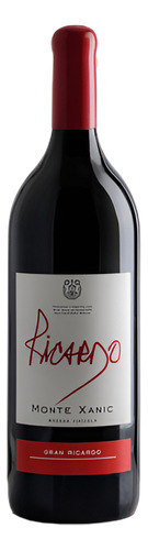 Pack De 2 Vino Tinto Monte Xanic Gran Ricardo Magnum 1.5 L